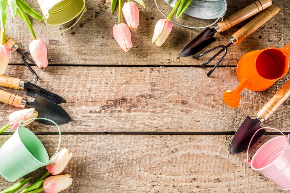 Obradoiros de xardíns infinitos