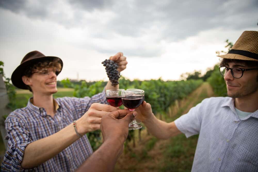 Día de Viñeros 2026: vino y tradición en Moclinejo