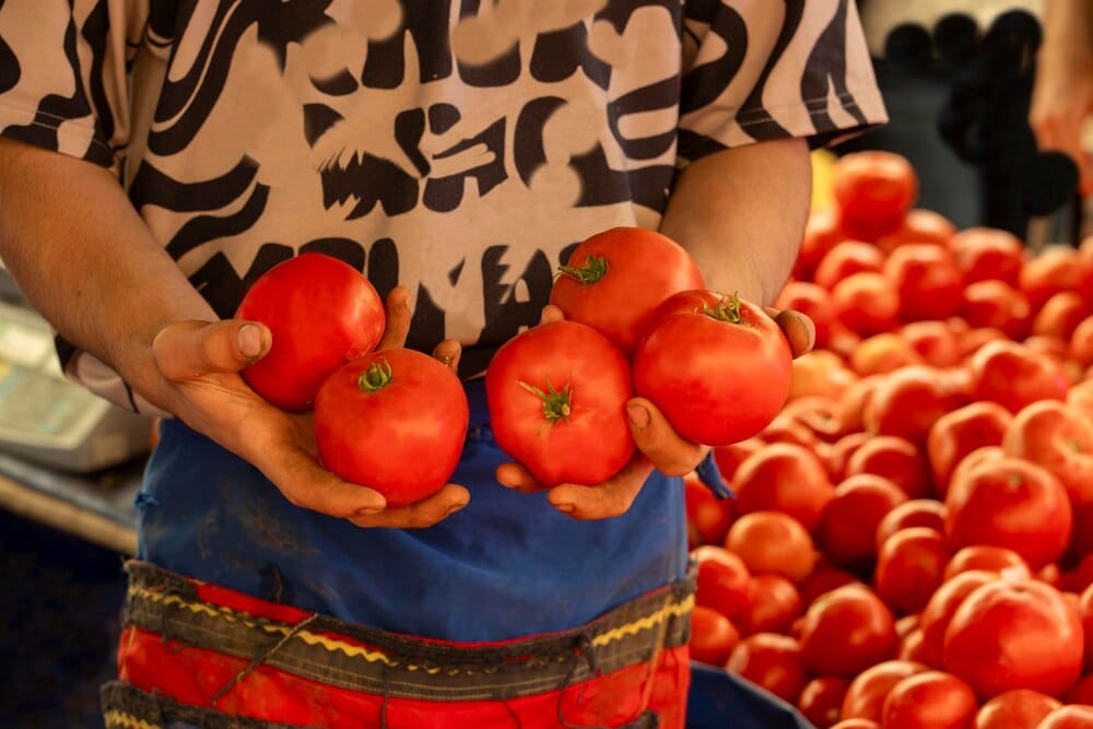 La Feria del Tomate de Meliana: sabor y tradición en l'Horta