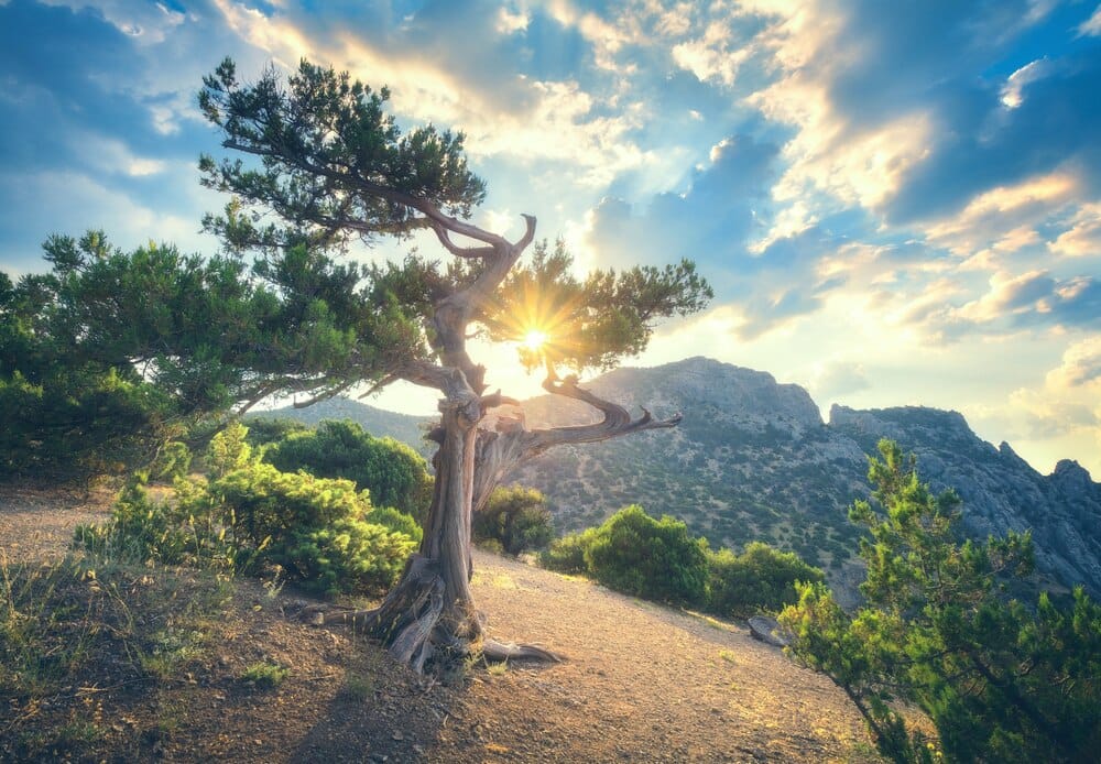 Montes de Vitoria Trail