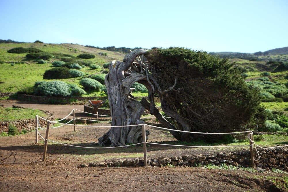 Mostra do proceso creativo 'Domitilia'