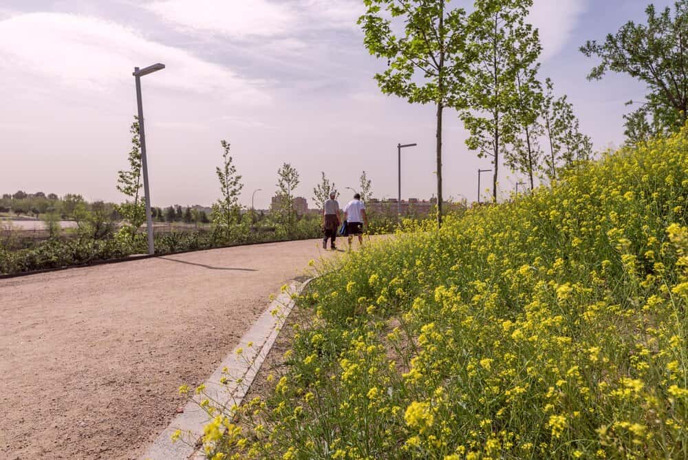 Primavera en la Vía Verde de Vigo: el momento de recorrerla