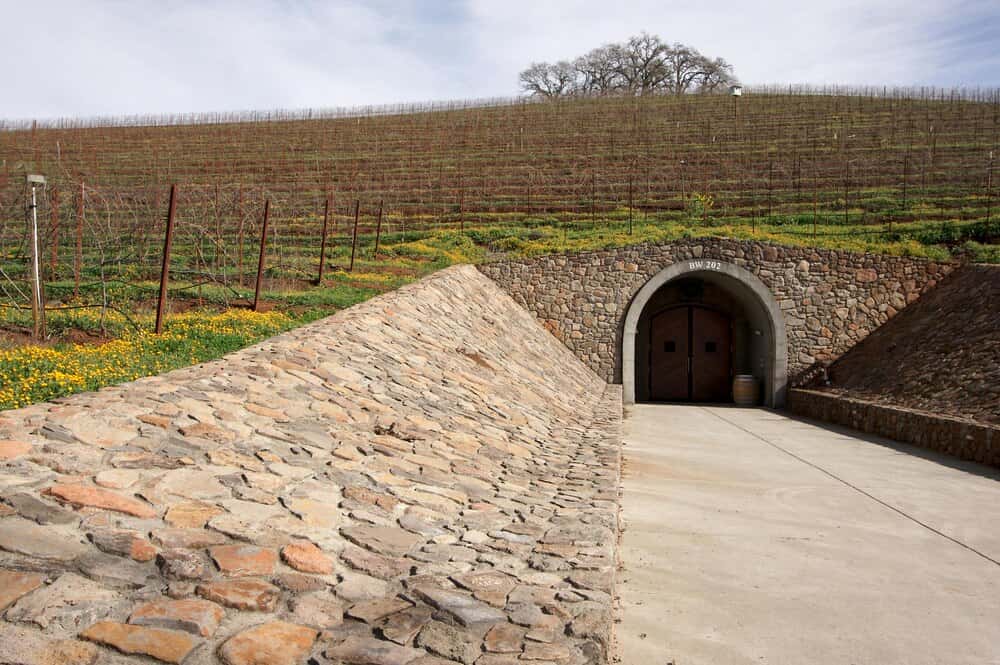 Ruta de bodegas por Valladolid: de Protos a la Milla de Oro