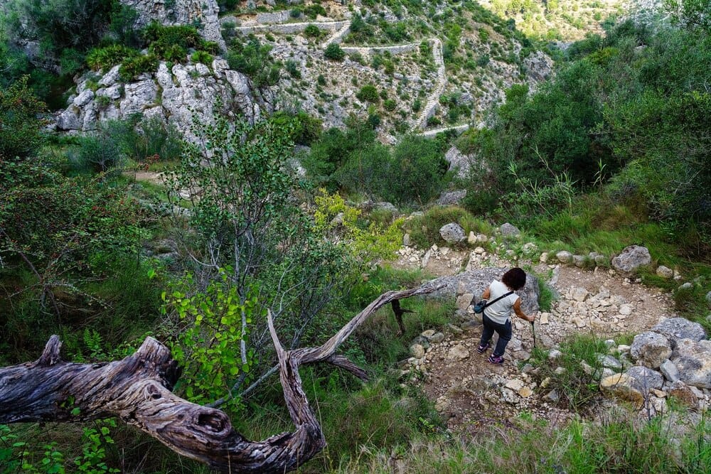 Ruta de Sendeirismo por Cervantes (Xuventude Lugo)