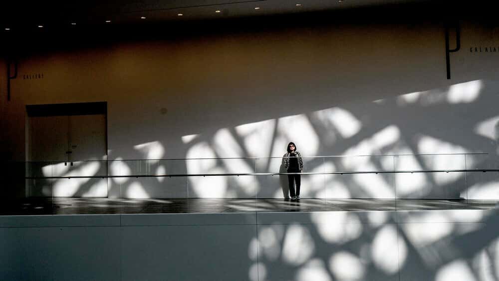 Recorrido visitas guiadas por galerías de arte (SPAO)