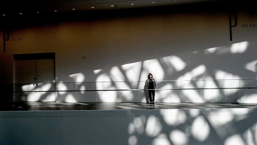 Recorrido visitas guiadas por galerías de arte (SPAO)