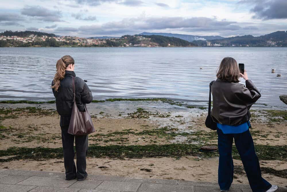 Cómo ver el mar de ardora en las Rías Baixas