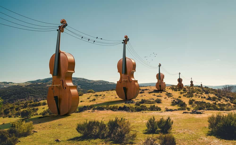 Cultura bajo las estrellas