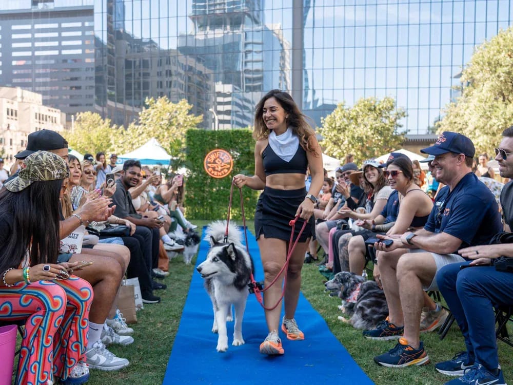 Wags & Wellness
