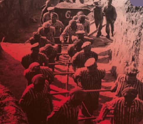 Holocaust i Deportació: història, memòria i cinema