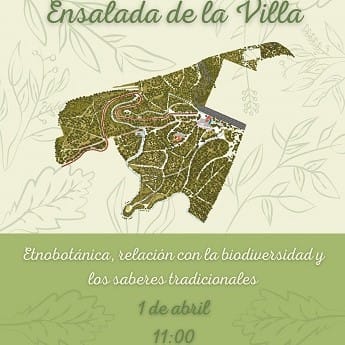 Ensalada de la Villa: etnobotánica, biodiversidad y saberes tradicionales