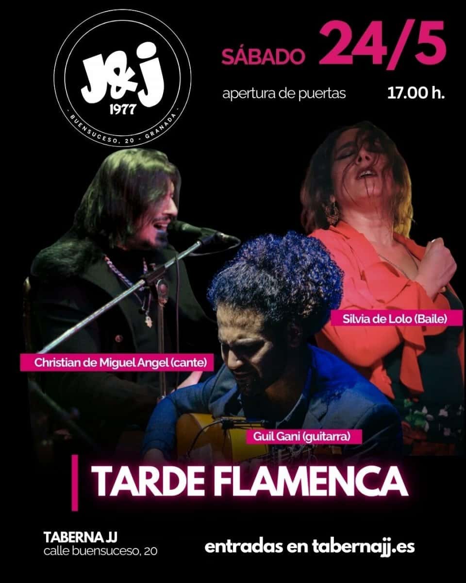 Espectáculo Flamenco