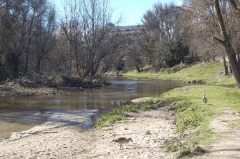 Senda de biodiversidad en el Parque Lineal del Manzanares