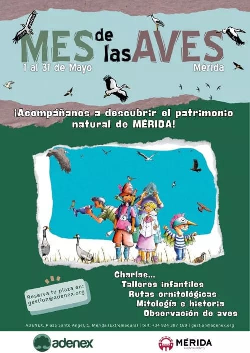Mes de las Aves 2025