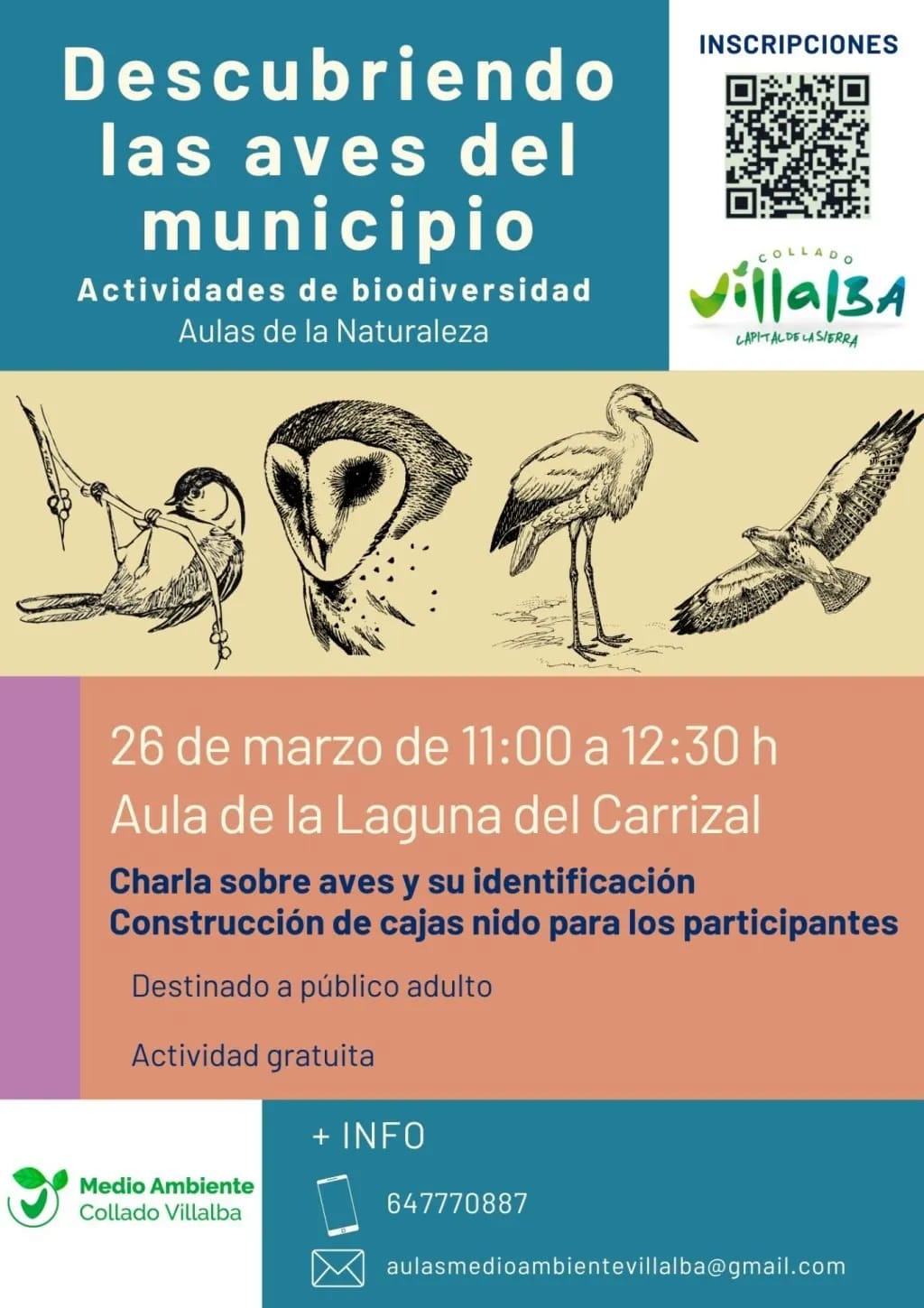 Descubriendo las aves de Collado Villalba