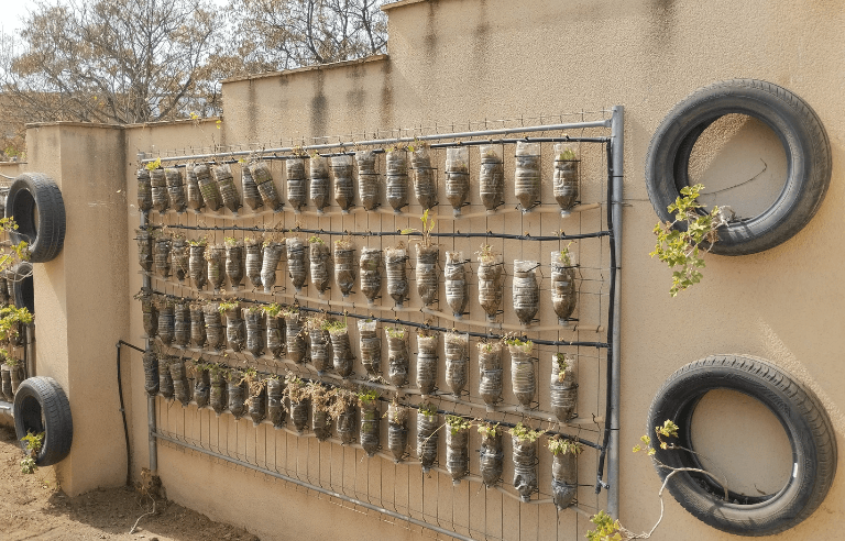 Jugatecambiental: Un hort en ampolles
