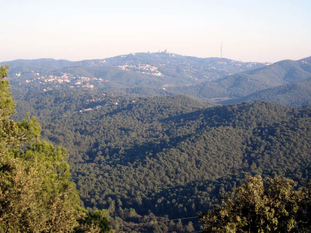 Passejades per Collserola. "Sant Pere Màrtir - La Mercè - Parc Cervantes"