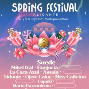 Spring Festival 2025