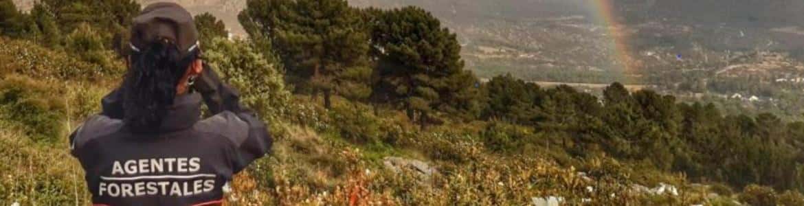 La mujer forestal