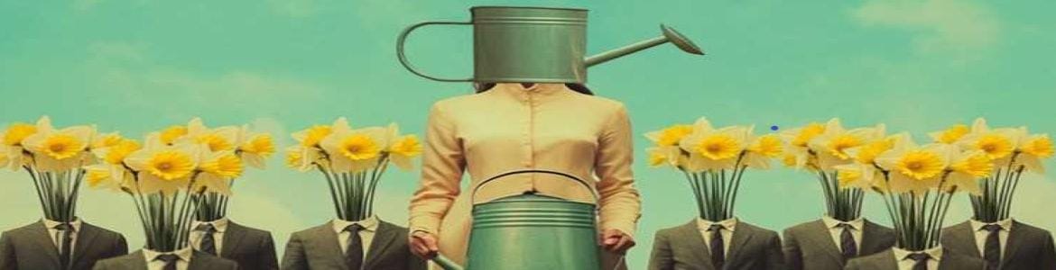 Narcisos, novela de Eduardo L贸pez-Collazo