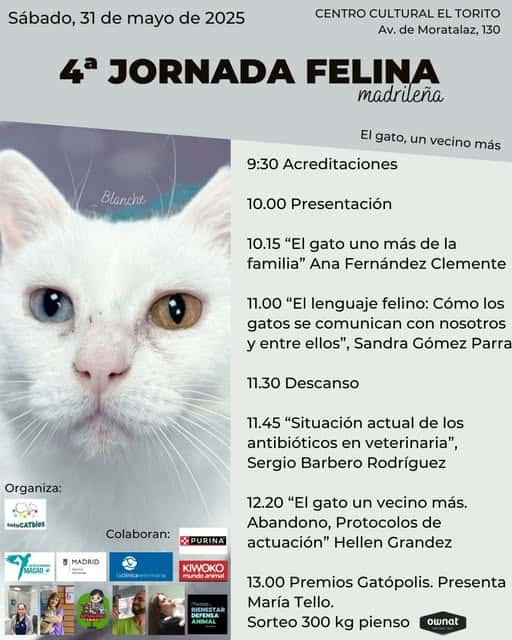 IV Jornada felina madrileña