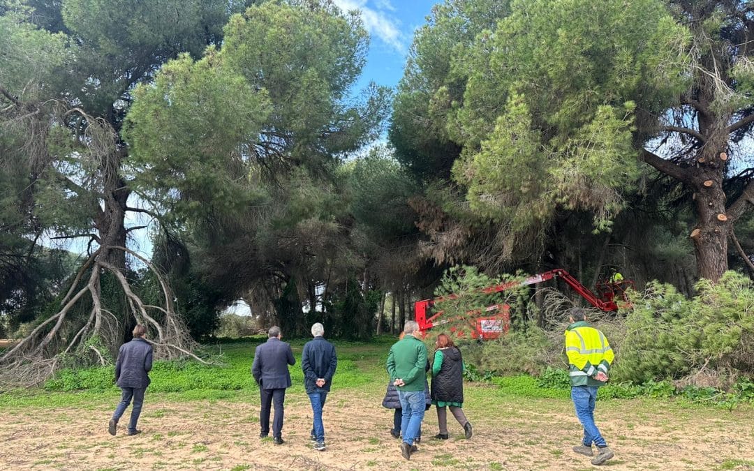 Documental El Pinar de Doña: un tesoro natural en Utrera