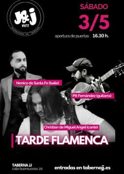Tarde flamenca en taberna J&J