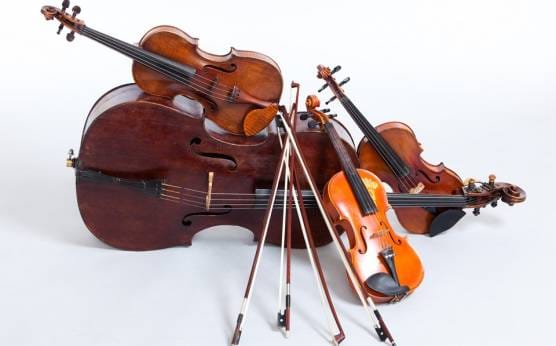 SALON ORCHESTRA COSTA BLANCA