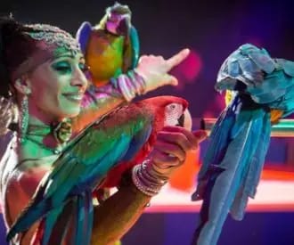 Circ de Nadal - Zoorprendente