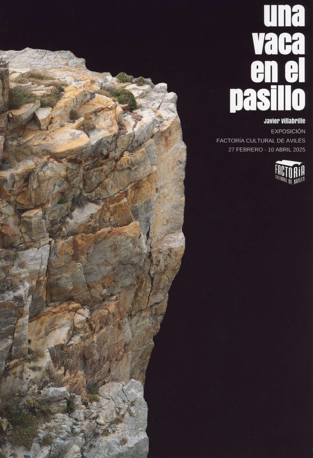 Exposición «Una vaca en el pasillo»