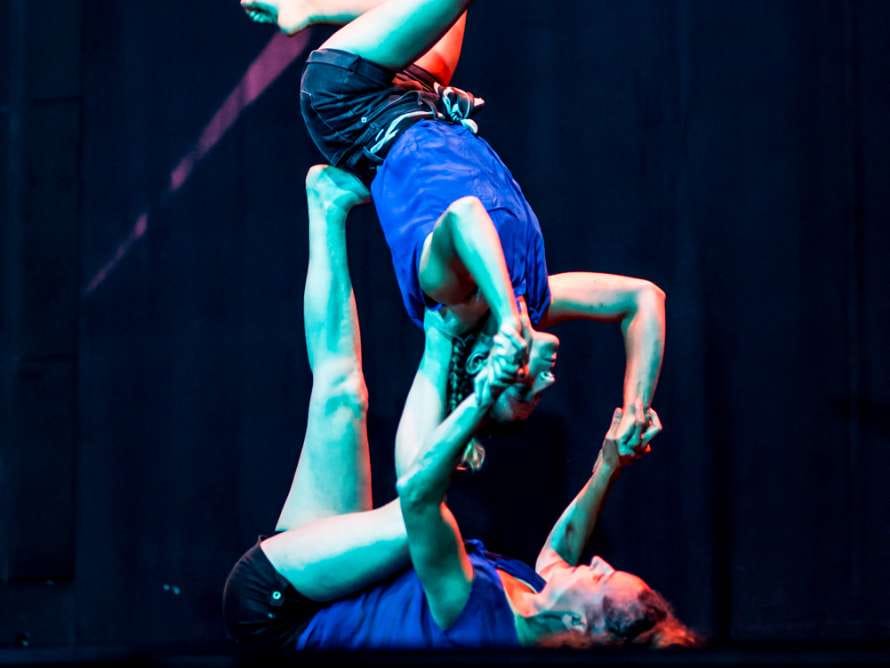 Laglo zirkodantza. No retorno