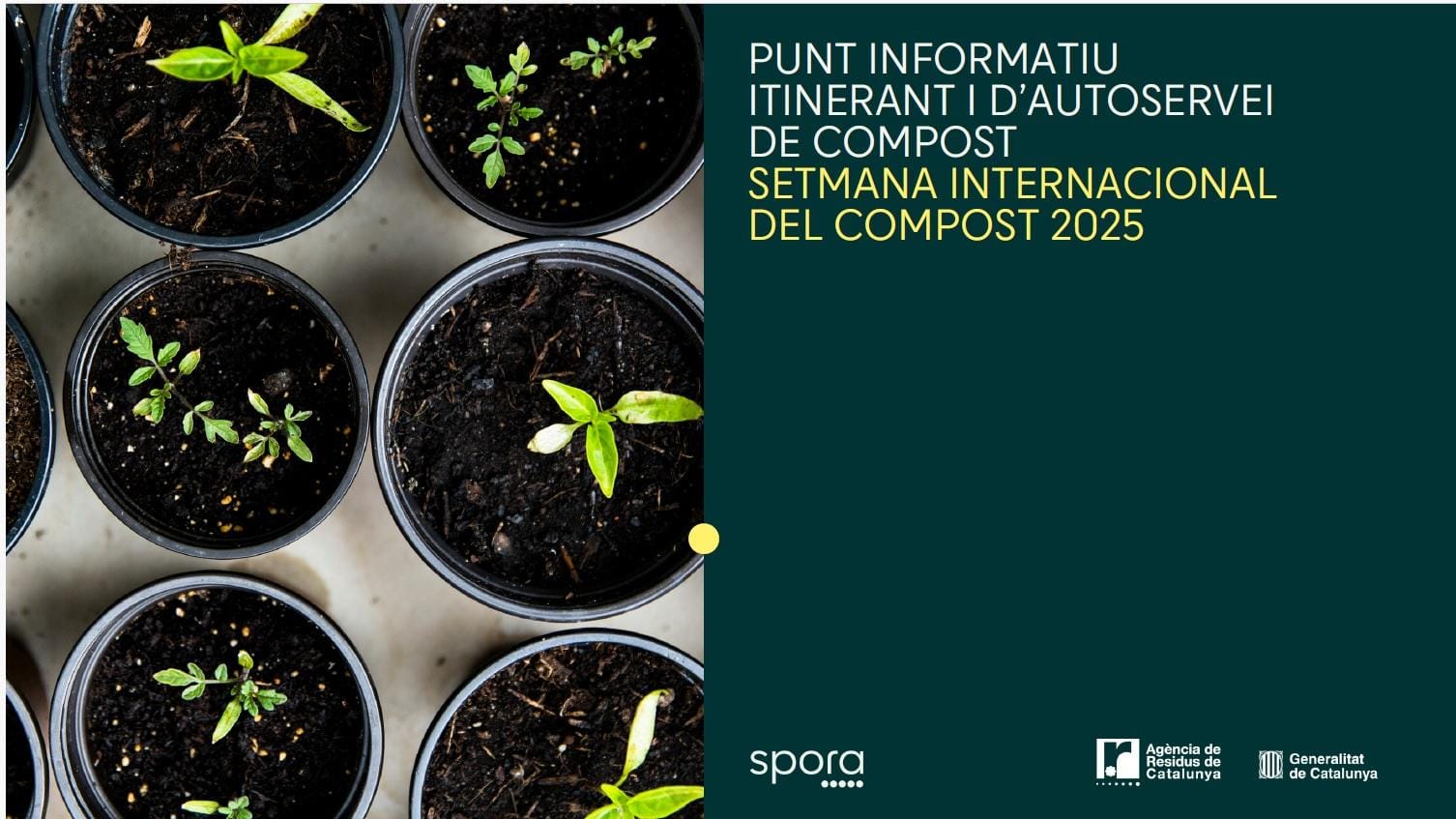 Taller de compostaje