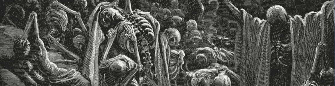 Sui Generis Madrid Itinerante: "El camino del muerto viviente: de la cultura universal al papel".