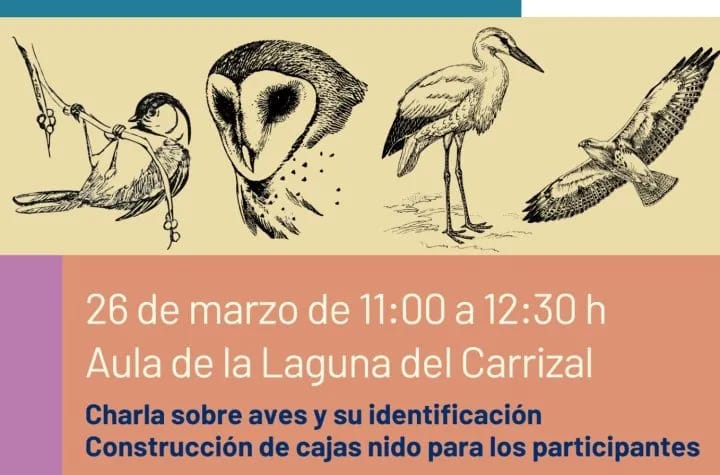 Aulas de Naturaleza