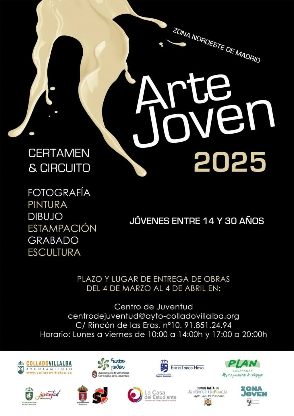 XXII Certamen de Arte Joven de la Zona Noroeste