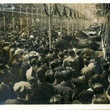 Document del Mes. Film: «Fira de l’Ascensió, 1943», de Joan Mas Marquès