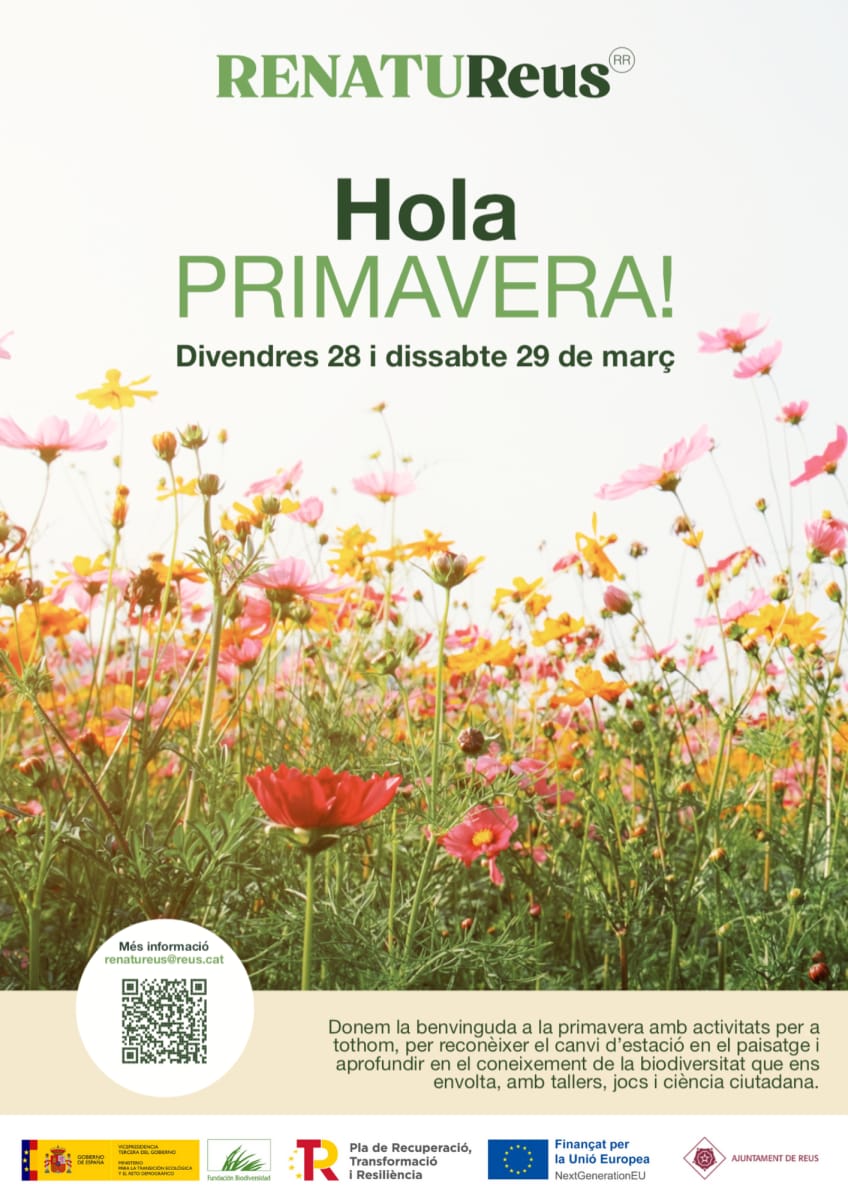 Un paseo por la plaza