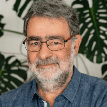 L'humor com a transgressió