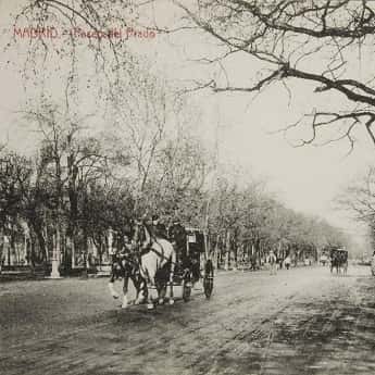 Salón del Prado, el Paseo de los Sentidos