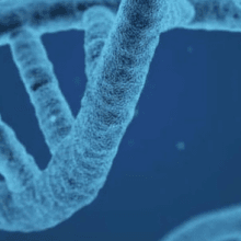 Taxonomia