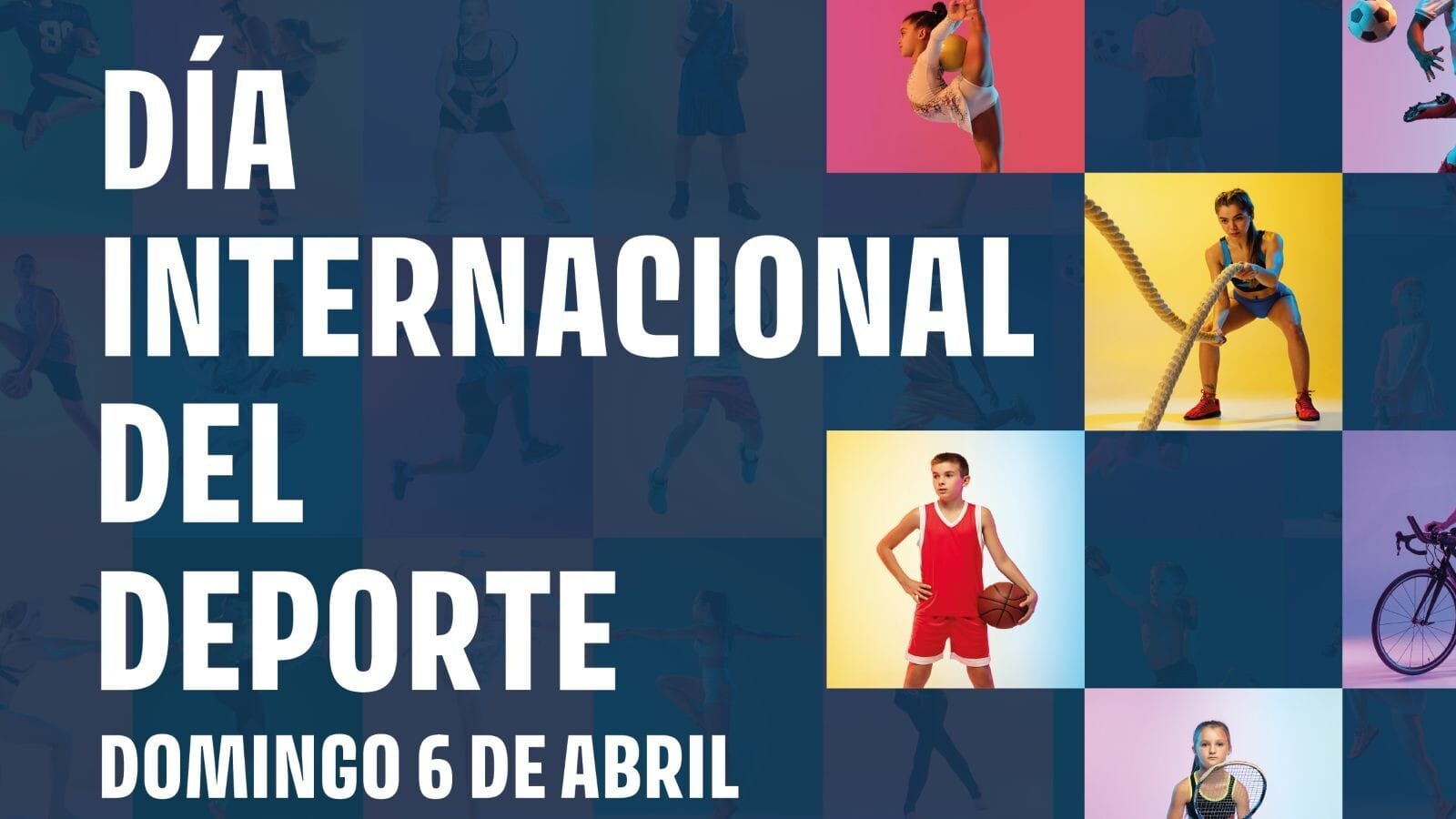 Fase local de ajedrez de los Juegos Deportivos Municipales de Pozuelo de Alarc贸n