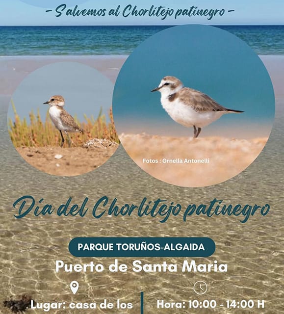 Jornada del Chorlitejo Patinegro