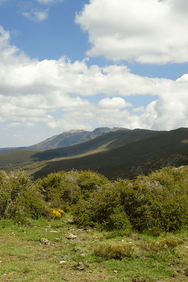 SENDERISMO Parque Natural de Sierra Nevada