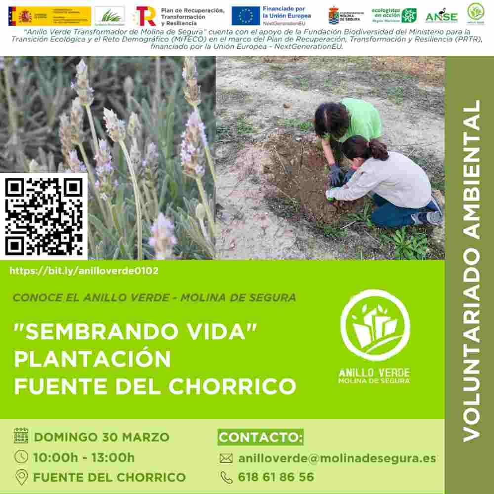 Voluntariado ambiental «Sembrando vida»