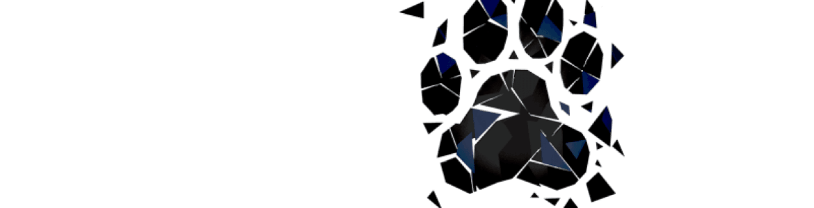 Festival de Cine de Las Américas: Concurso de cortometrajes