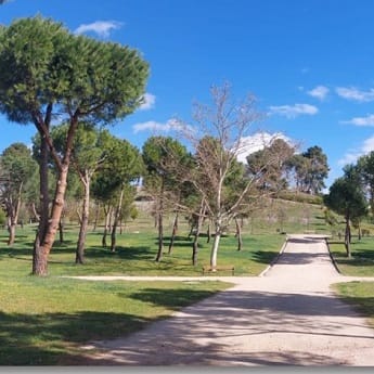 Itinerario Ornitológico Parque Emperatriz María de Austria