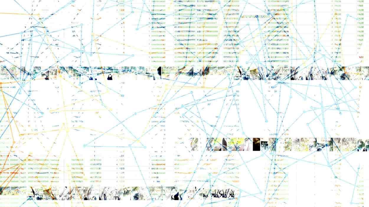Exposició: 'Anarqueologia d'un camp', de Manuela Valtchanova