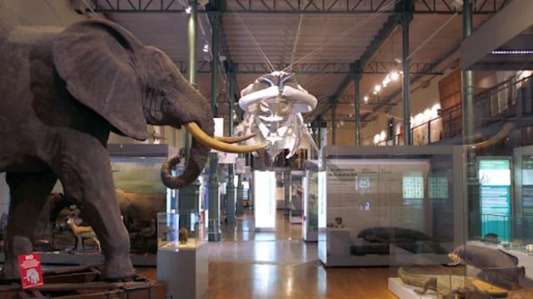 Disfruta en familia del Museo de Ciencias Naturales