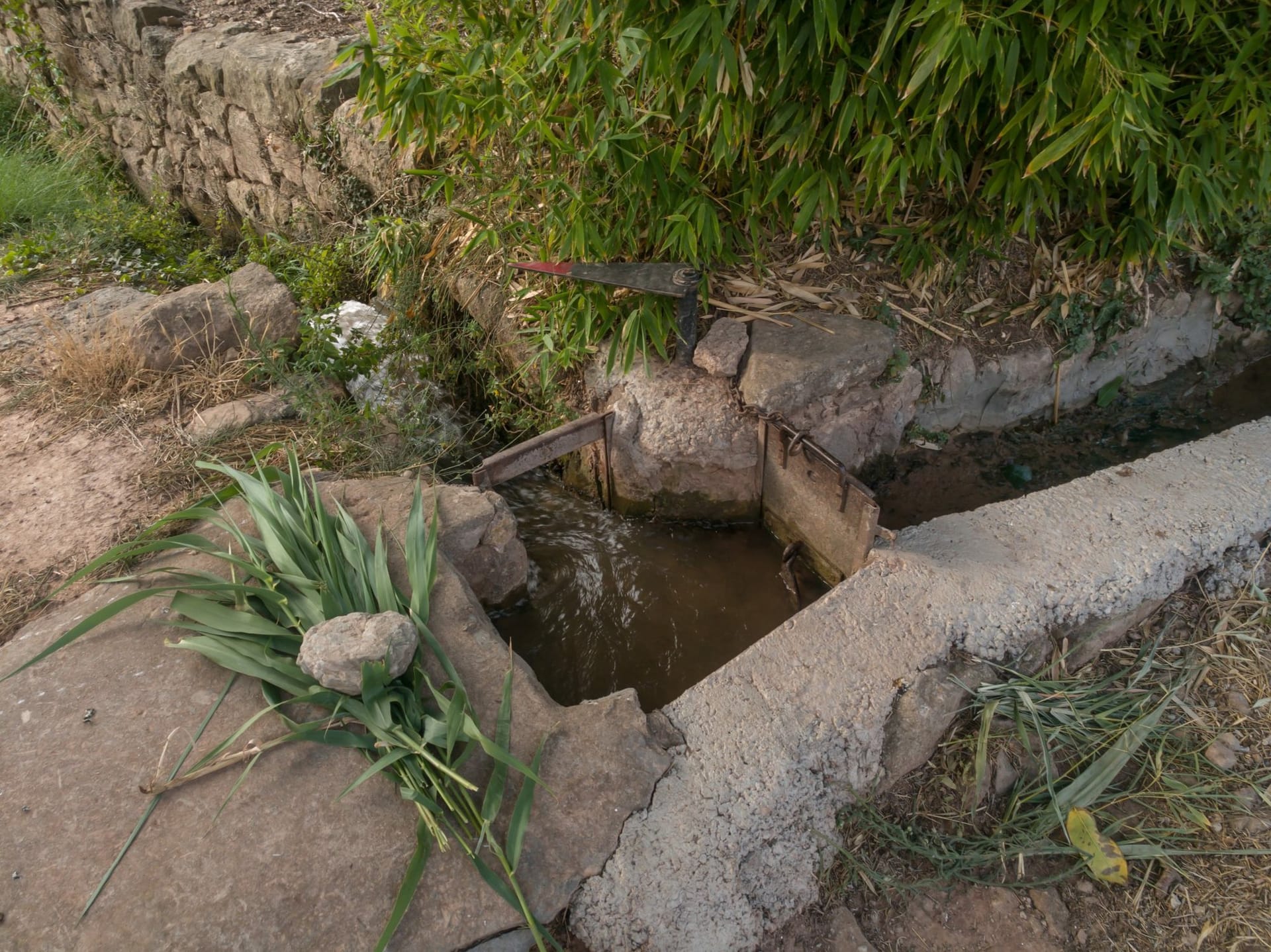 Recs de la Pujada Roja i ramal de Santa Clara