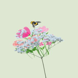 'Plantafest': ¡Flores! Cuentos con arte